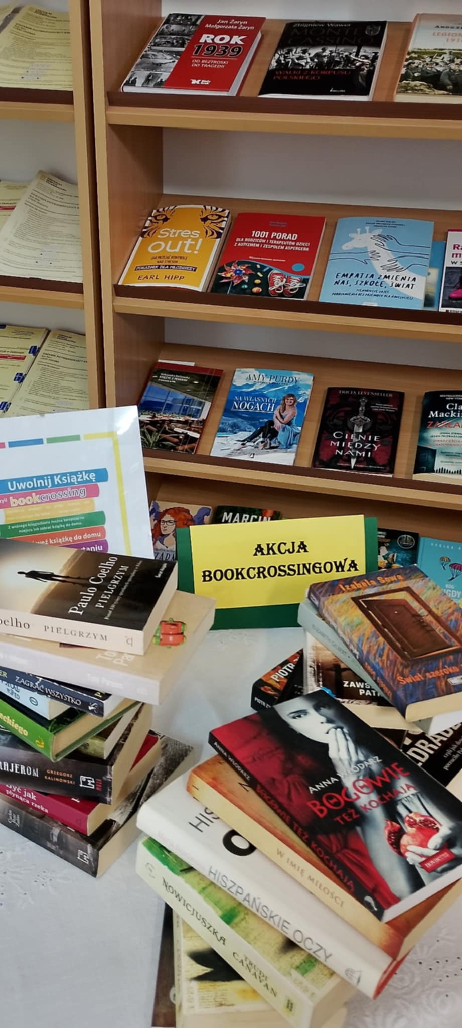Read more about the article Międzynarodowy Miesiąc Bibliotek Szkolnych – PAŹDZIERNIK 2025
