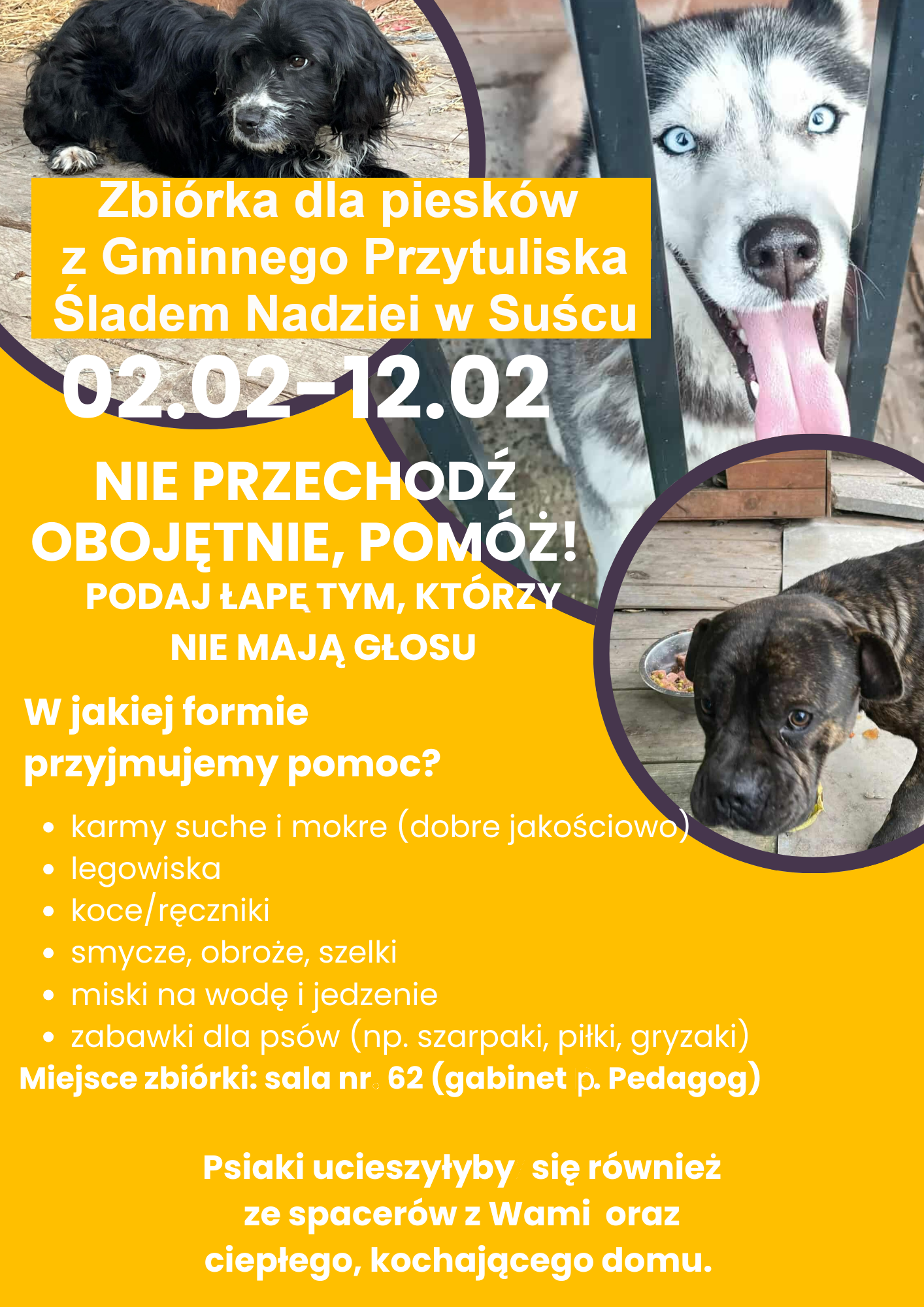 Read more about the article Zbiórka dla piesków z Gminnego Przytuliska Śladem Nadziei w Suścu