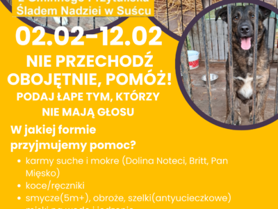 Zbiórka dla piesków z Gminnego Przytuliska Śladem Nadziei w Suścu